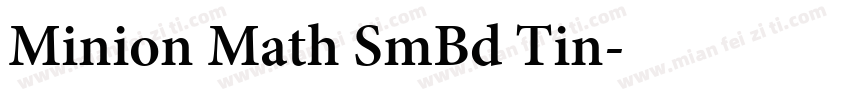 Minion Math SmBd Tin字体转换